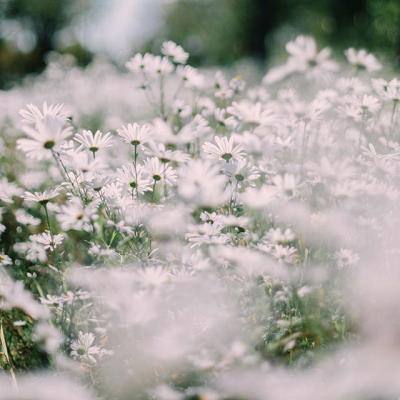 bet体育365官网正规手机app下载